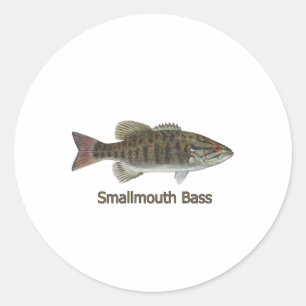 Smallmouth Bass Art (titel) Ronde Sticker
