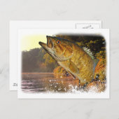 Smallmouth Bass Briefkaart (Voorkant / Achterkant)