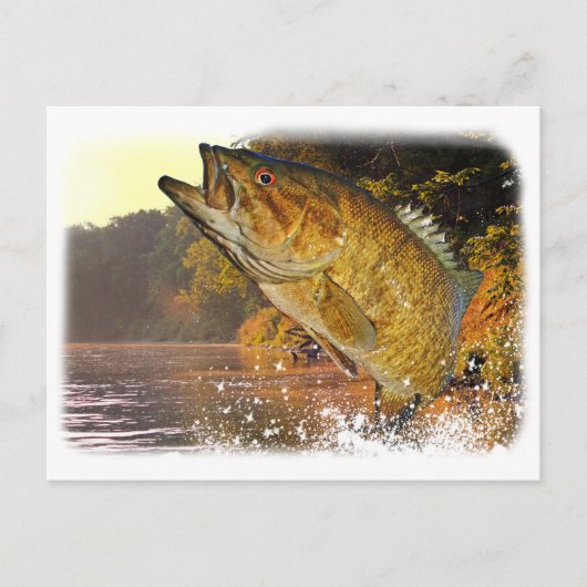 Smallmouth Bass Briefkaart (Voorkant)
