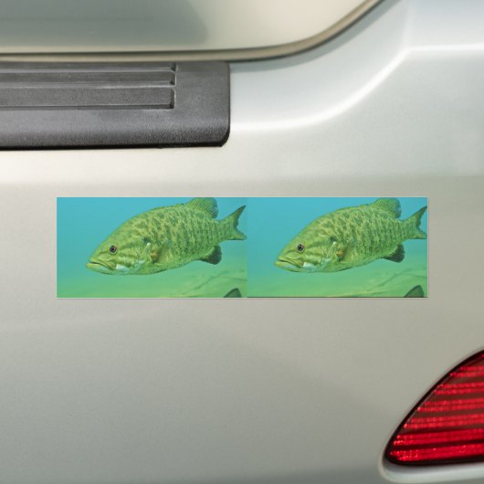 Smallmouth Bass Bumpersticker (Op auto)