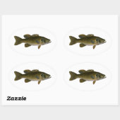 Smallmouth Bass Logo Ovale Sticker (Vel)