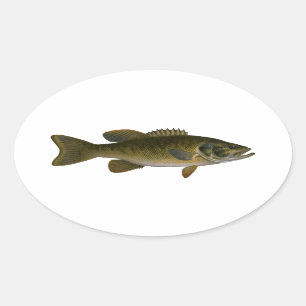 Smallmouth Bass Logo Ovale Sticker