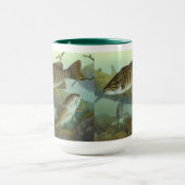 Smallmouth bass mok (Midden)