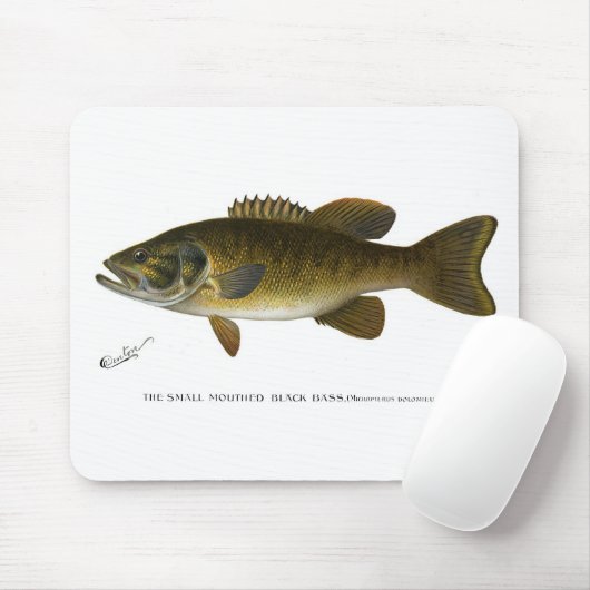 Smallmouth bass muismat (Met muis)