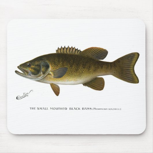 Smallmouth bass muismat (Voorkant)