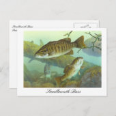Smallmouth Bass schilderij Briefkaart (Voorkant / Achterkant)