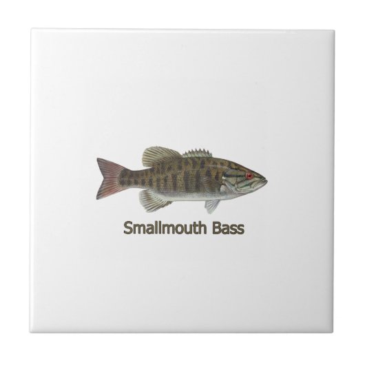 Smallmouth Bass Tegeltje (Voorkant)