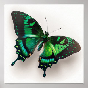 Smaragd Groene Vlinder Art Print Poster