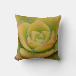 Smaragd Vetplant Fotografie Decor Moderne Botanisc Kussen