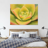 Smaragd Vetplant Macro Canvas Muur Kunstprint Afdruk (Insitu (Slaapkamer))