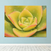 Smaragd Vetplant Macro Canvas Muur Kunstprint Afdruk (Insitu (Houten vloer))