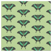 Smaragd Zwavelvlinder Stof (Groen) (Close Up)