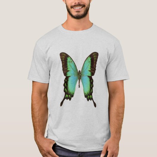 Smaragdasstaartvlinder, t-shirt (Voorkant)
