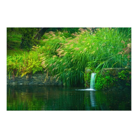 Smaragden stilte bij de tuinvallen foto afdruk (Voorkant)