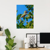 Smaragdflits: Kolibrie in Beweging Poster (Thuiskantoor)