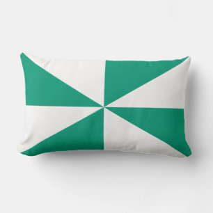 Smaragdgroen en Witte Pinwheel Kussen