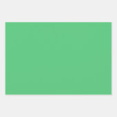 Smaragdgroene effen kleur | Klassiek | Elegant Inpakpapier Vel (Voorkant)