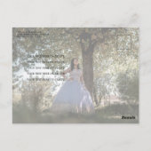 Smaragdgroene jurk zilveren foto quinceanera briefkaart (Achterkant)