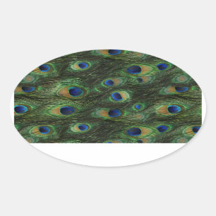Smaragdgroene Koninklijk Blauwe Pauw Stickers