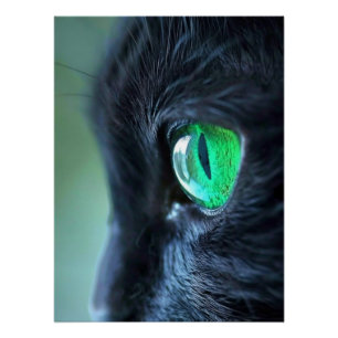 Smaragdgroene Oog Zwarte Kat Perfect Poster