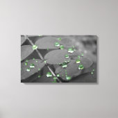 Smaragdgroene regendruppels canvas afdruk (Voorkant)
