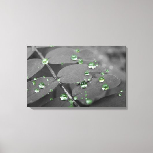 Smaragdgroene regendruppels canvas afdruk (Voorkant)