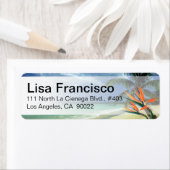 Smaragdgroene wateren Tropisch strand Hawaï Jamaic Etiket (Insitu)