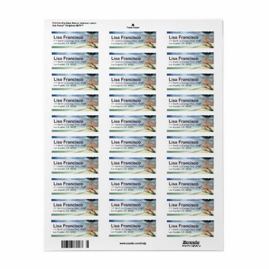 Smaragdgroene wateren Tropisch strand Hawaï Jamaic Etiket (Full Sheet)