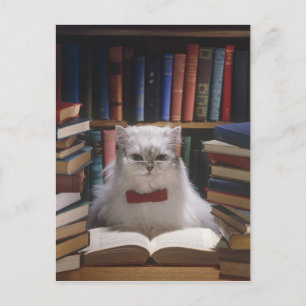Smart afstuderen cat aankondigingskaart