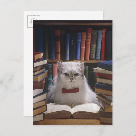 Smart afstuderen cat aankondigingskaart (Voorkant / Achterkant)