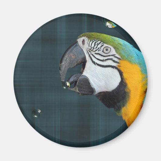 Smart Bird Magneet (Voorkant)