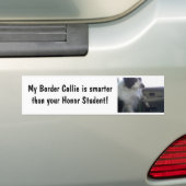Smart Border Collie Bumpersticker (Op auto)