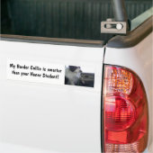 Smart Border Collie Bumpersticker (Op Truck)