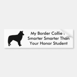 Smart Border Collie Bumpersticker