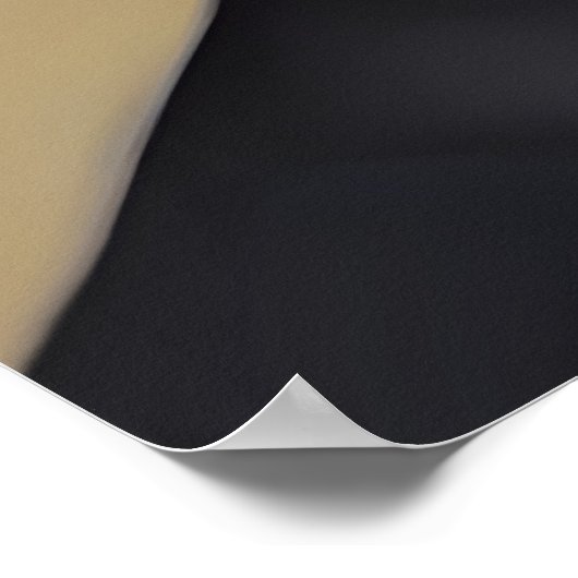 Smart Cat Poster (Hoek)