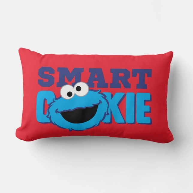 Smart Cookie Monster Kussen (Voorkant)