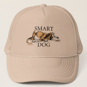 Smart Dog pet