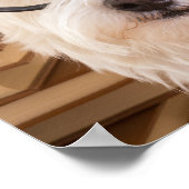 Smart Doggie Poster (Hoek)