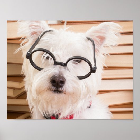 Smart Doggie Poster (Voorkant)