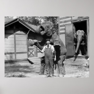 Smart Elephant Trick uit de jaren 1910 Poster