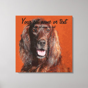 Smart Irish Setter Dog Canvas Afdruk