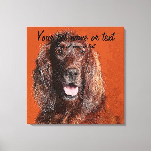 Smart Irish Setter Dog Canvas Afdruk (Voorkant)