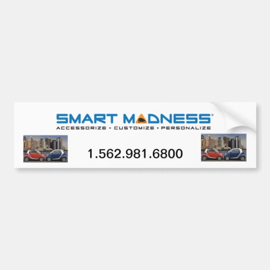SMART MADNESS-BUMPERSTICKER BUMPERSTICKER (Voorkant)