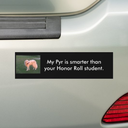 Smart Pyr Bumpersticker (Op auto)