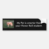 Smart Pyr Bumpersticker (Voorkant)