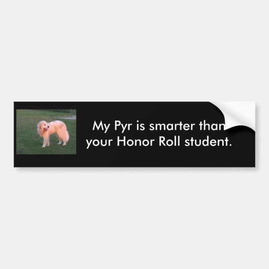 Smart Pyr Bumpersticker (Voorkant)