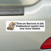 Smart Raccoon Bumpersticker (Op auto)