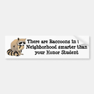 Smart Raccoon Bumpersticker