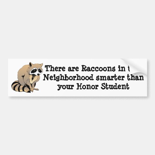 Smart Raccoon Bumpersticker (Voorkant)