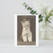 "Smart Set" Aangeklede Kat Briefkaart (Staand voorkant)
